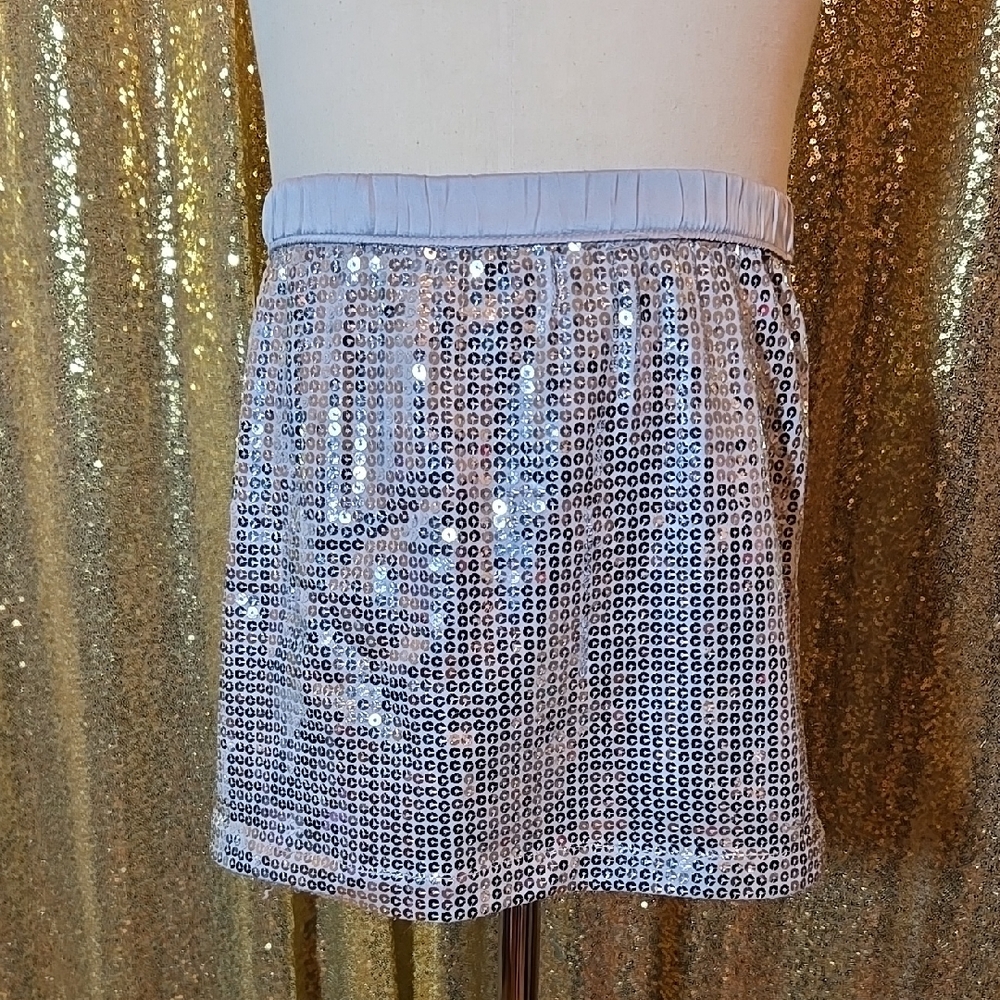 Silver Sequin Skirt
